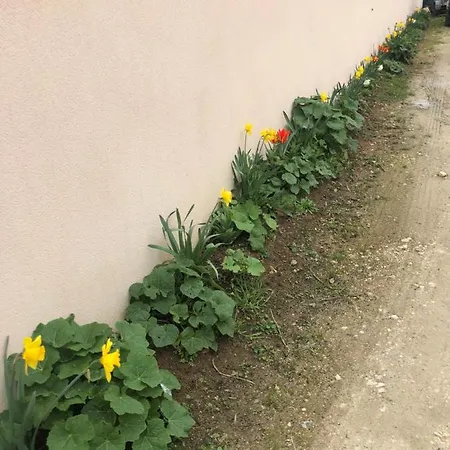 アパート Pour 2 Personnes A Charente