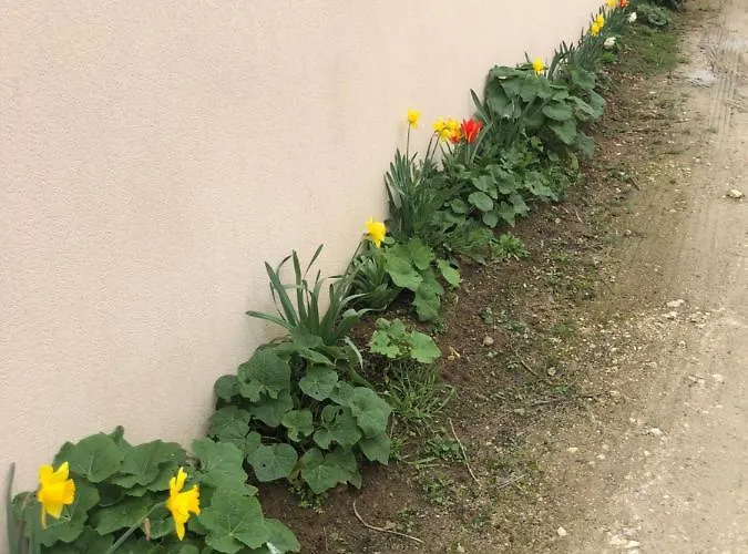 Apartment Pour 2 Personnes A Charente